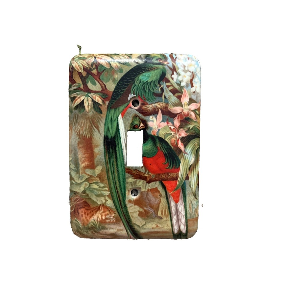 Tay Mac Resplendent Quetzal Print Light Switch Cover 3.5 X 5"